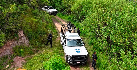 En Tuzantla, SSP y Defensa incineran más de mil 820 kilogramos de marihuana