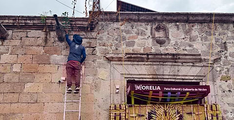 Centro Histórico libre de humedad y flora nociva: restauran fachadas