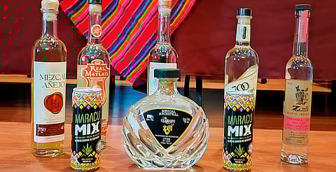 Mezcal: 51 marcas con distintito "Michoacán de Origen"