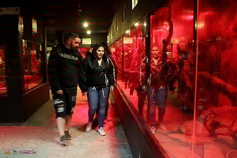 Zoológico de Morelia: Regresarán recorridos nocturnos