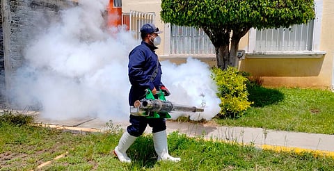 ¡Cuidado con el dengue! Realizan alrededor de 220 fumigaciones en colonias de Morelia