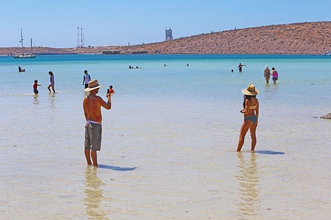Morena propone iniciativa para donar vacaciones a compañeros de trabajo