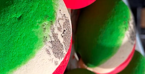 "Mexiconchas": el pan más patriótico para celebrar el Grito en Morelia