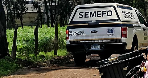 Encuentran cadáver de un hombre en lote baldío de Morelia