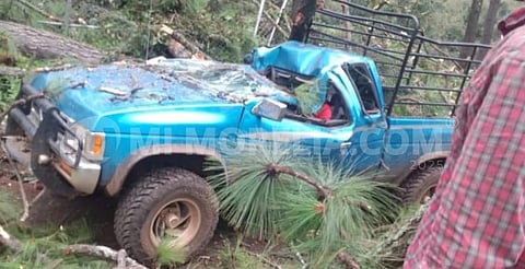 Árbol se desploma sobre una camioneta y mata a un hombre en Tingambato