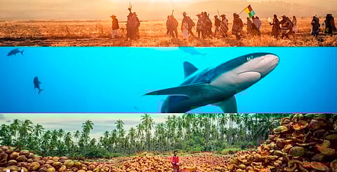 Fotografía, naturaleza y cultura: así es la exposición ‘Los diferentes mundos que habitan en México’