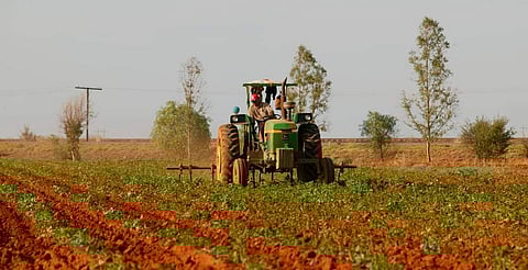 Aplican multas de hasta 50 mil pesos por quema de material agrícola en Tangancícuaro