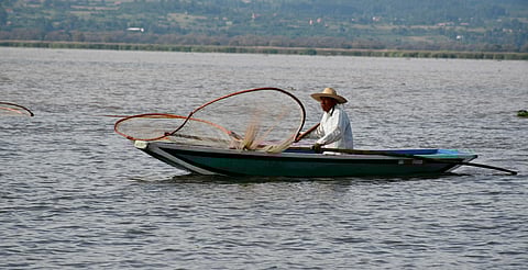 Reman por la paz en torneo de canotaje en la isla de Janitzio