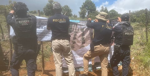 Detectan tala ilegal y plantaciones de aguacate en predio de Erongarícuaro