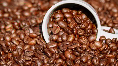 Café veracruzano rumbo a Marte: diputada propone llevar el aroma al espacio