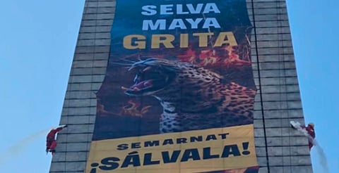 Con manta y acción directa, Greenpeace exige a Semarnat proteger la Selva Maya