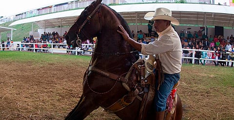 Del 26 de septiembre al 3 de octubre, el ex Recinto Ferial será sede de la Expo Ganadera 2025