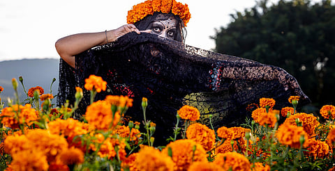 ¡Anótalo! Ya hay fecha para la Fiesta de la Flor de Cempasúchil 2025 en Tarímbaro