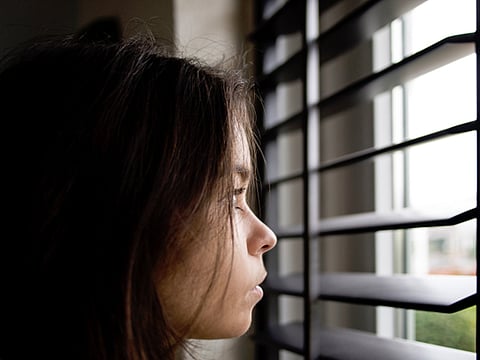 Persianas enrollables: la solución que está revolucionando los hogares morelianos