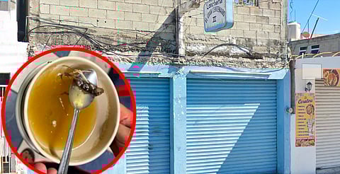 Clausuran restaurante en Yucatán por servir caldo con ratón; una menor fue hospitalizada