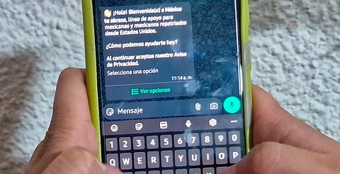 Gobierno lanza ‘México te abraza’, línea de WhatsApp para apoyar a repatriados