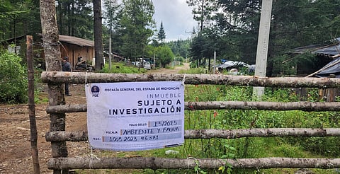 Cumplimenta FGE cateo en predio relacionado con tala ilegal en Zinapécuaro