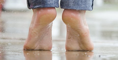 Desde hongos hasta virus transmitidos por mosquitos, las lluvias pueden enfermarte más de lo que imaginas