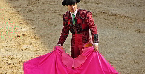 No es prudente que se lleve a cabo la corrida de toros: Alfredo Ramírez Bedolla