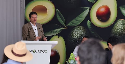 Destaca Alfonso Martínez, potencial de Morelia en el Diamante de México
