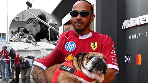 Sir Lewis Hamilton y su perro Roscoe