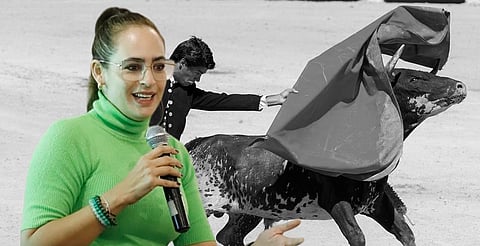 La coordinadora del PVEM criticó el anuncio de una corrida en Lagunillas pese a la ley que prohíbe la tauromaquia en Michoacán