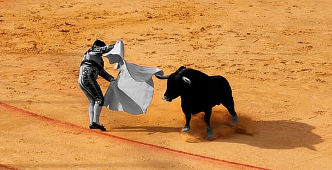 Contra la Ley, Lagunillas anuncia corrida de toros para sus fiestas de octubre