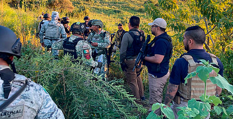 Desmantelan campamento criminal en Zamora tras enfrentamiento: hay 3 muertos y 4 detenidos