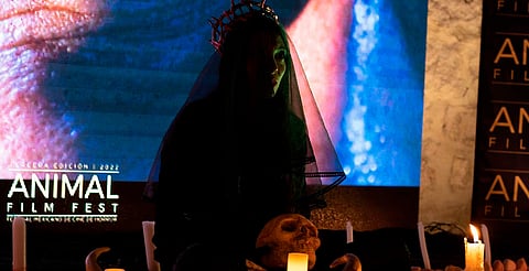 Festival de terror en Morelia te invita a caracterizarte y unirte a la atmósfera