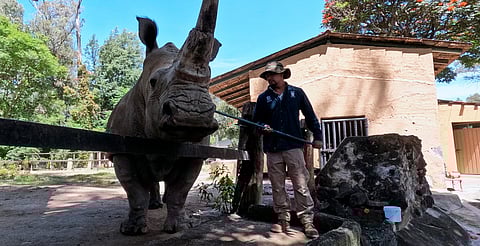 De zoológico a reserva: el "Benito Juárez" de Morelia se modernizará en 2026