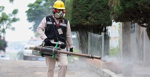 Registra Michoacán baja en casos de dengue en comparación al 2024: SSM