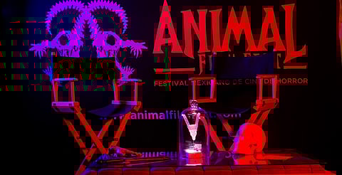 Luces, gritos… ¡acción! Estos fueron los mejores cortometrajes del ANIMAL Film Fest 2025