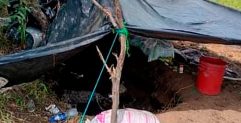 Destruyen dos campamentos ilícitos hallados en Parácuaro, Michoacán