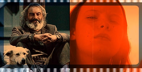 Todo listo en Morelia para el FICM 2025: ya puedes consultar la cartelera