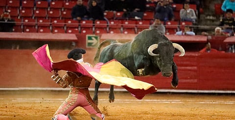 Corridas de toros seguirán en debate: SCJN deja decisión en tribunales locales