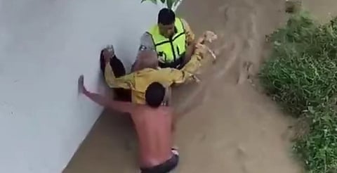 Rescatan a abuelito y sus 13 lomitos atrapados bajo un puente en Veracruz