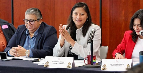 En Foro, Celeste Ascencio impulsa una Reforma Electoral con inclusión y justicia social