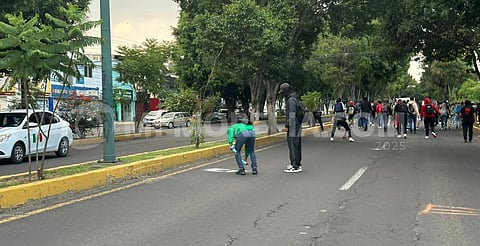"Por consigna normalistas vandalizaron transporte de mensajería", afirma Mariana Sosa