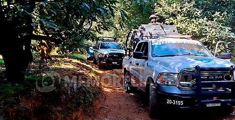 Hallan a mujer degollada en huerta de Uruapan; su pareja, el principal sospechoso