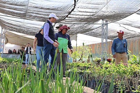 Morelia contará con un nuevo pulmón verde: Gobierno de Alfonso Martínez trabaja en rescate del bosque Morelos