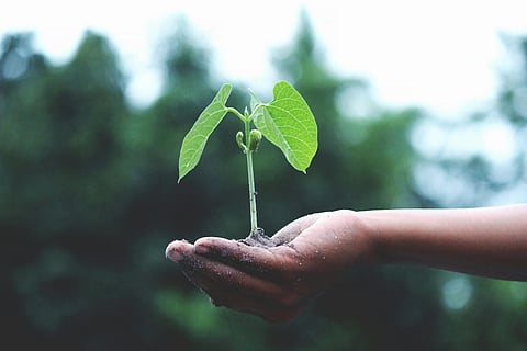 Día contra el Cambio Climático: hábitos simples con impacto global