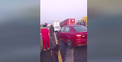 VIDEO: Conductores varados por bloqueos agrícolas en la Morelia–Guadalajara caminan en busca de víveres