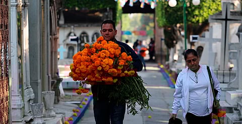 Yankel Benítez emite medidas de seguridad por “Día de Muertos”