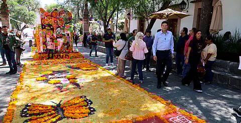 80 altares y 30 escuelas llenan de vida y color plazas de Morelia en Día de Muertos
