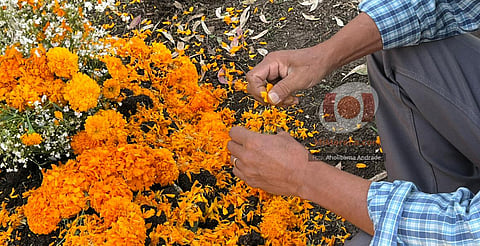 En este Día de Muertos, la memoria perdura en el Panteón Municipal