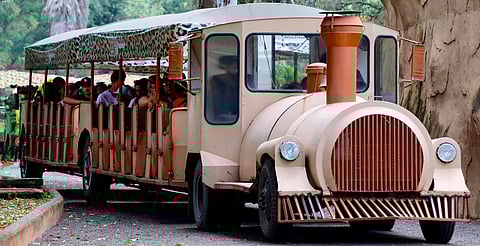 ¿Buscas liberar tu servicio social? Zoo Morelia tiene una opción divertida y educativa