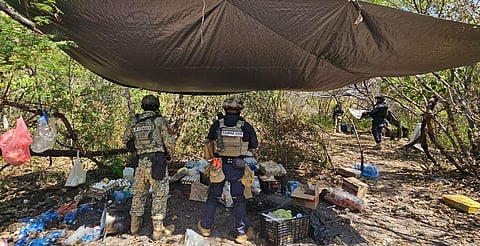 Desmantelados 4 campamentos clandestinos en Buenavista: SSP