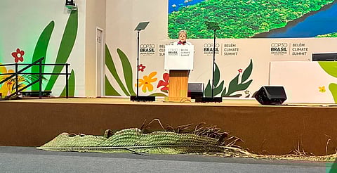 Presentan corredor trinacional para proteger la Selva Maya