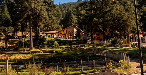 2026: Compromete Sectur señal e internet en Sierra Chincua