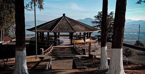 Avistan gato montés en el Estribo Grande de Pátzcuaro; llaman a proteger la fauna